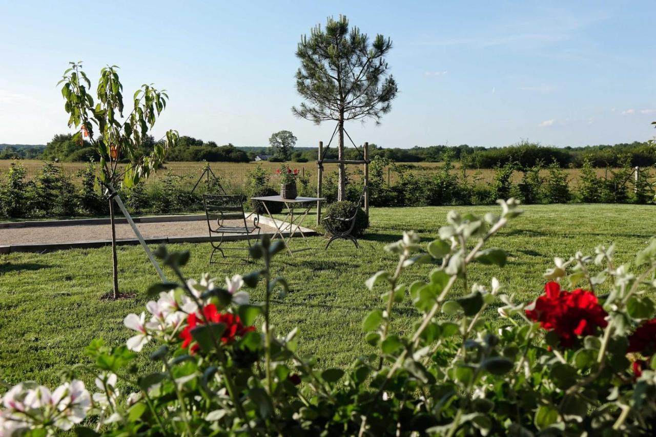 Le Montillon Tour-en-Sologne ภายนอก รูปภาพ