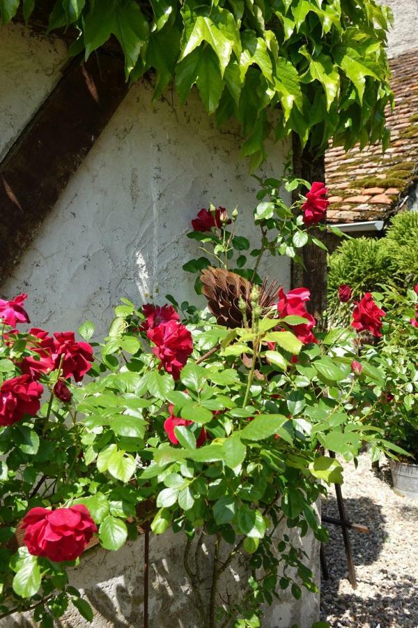 Le Montillon Tour-en-Sologne ภายนอก รูปภาพ