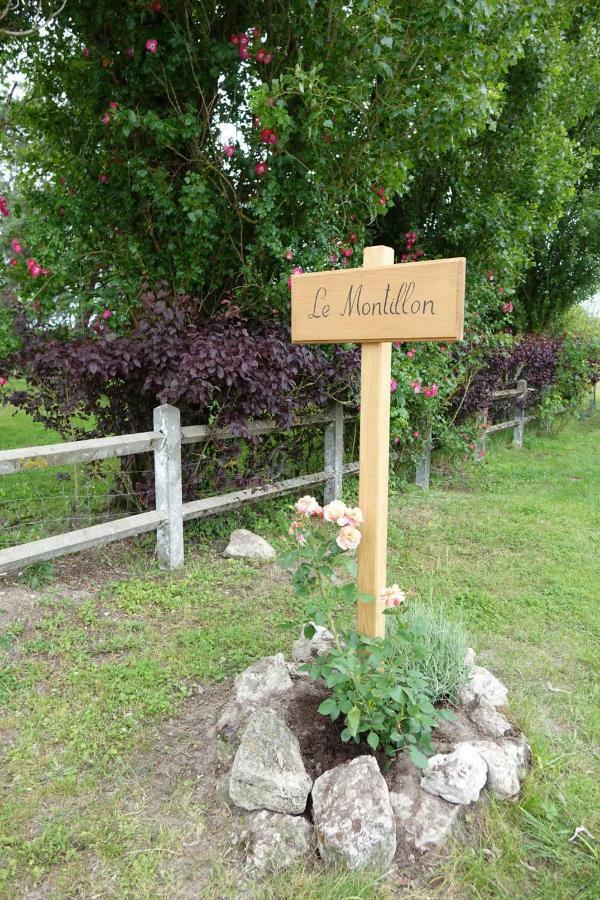 Le Montillon Tour-en-Sologne ภายนอก รูปภาพ